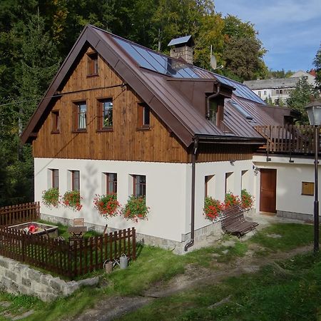 Penzion Pod Kopcem Janov nad Nisou Kültér fotó